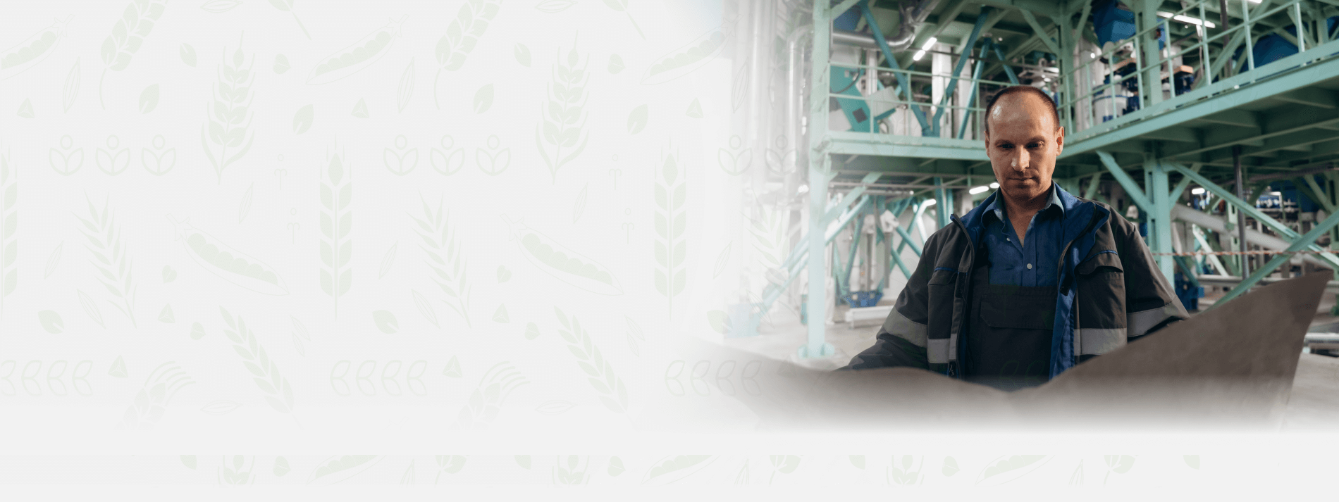 Banner 2