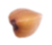 Grechka