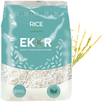 Rice groats